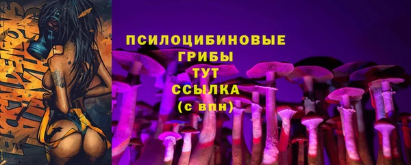 MDMA Premium VHQ Рославль